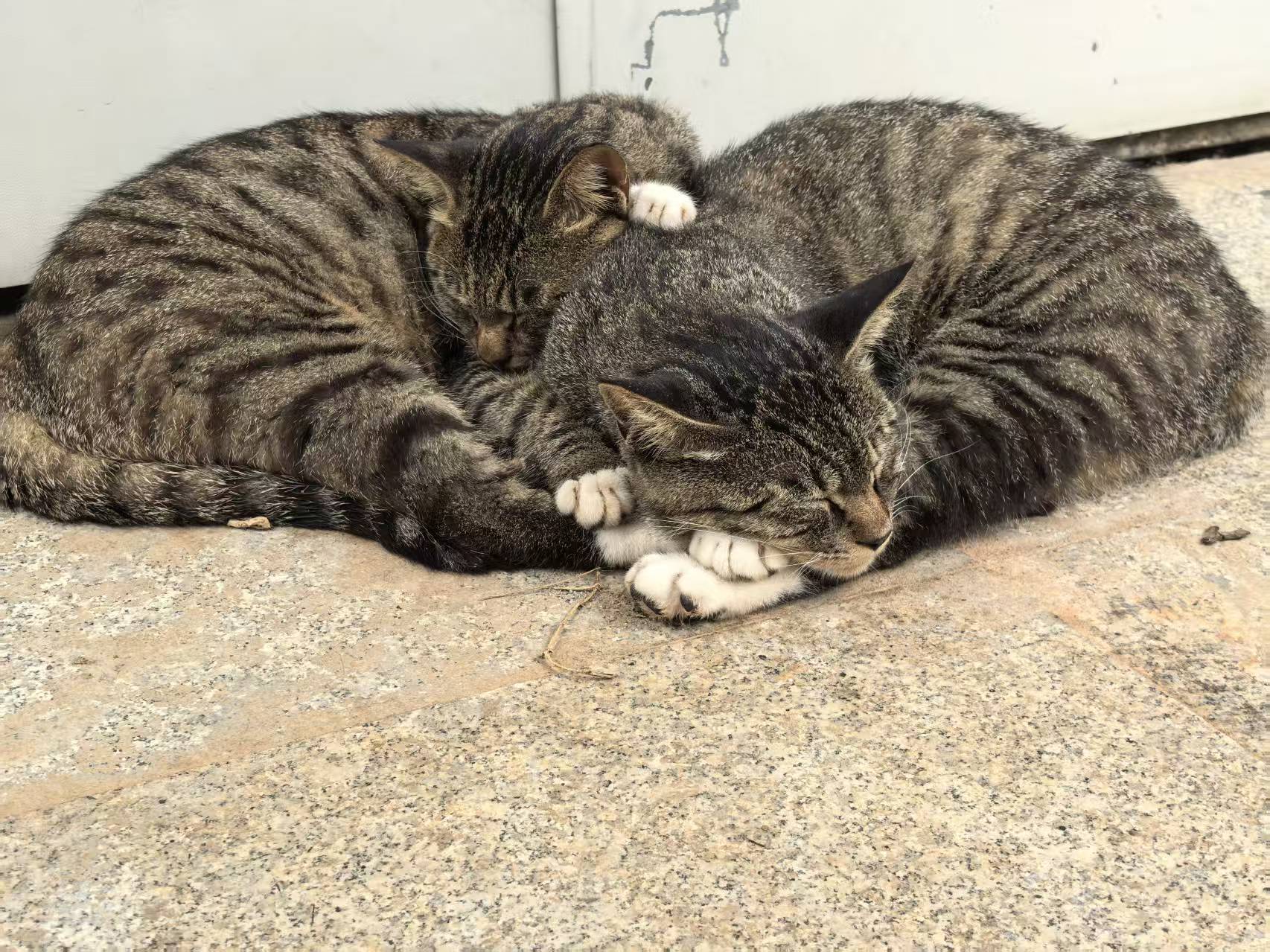 老大和老二 - 温馨合影